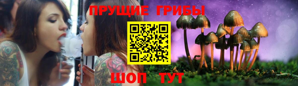 Алапаевск  Галлюциногенные грибы Psilocybine cubensis  Вход с VPN 